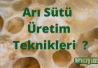 Arı Sütü Nasıl Üretilir ?