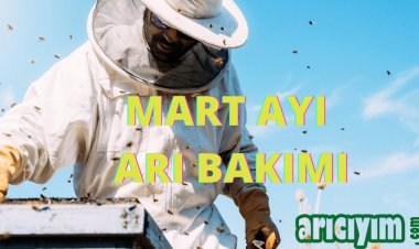 Mart Ayı Arıcılık İşleri