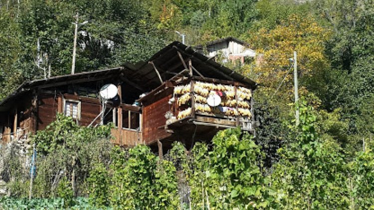 artvin, artvin biosfer, artvin arıcılık