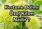 Kestane  Balı Nedir , Faydaları Nelerdir