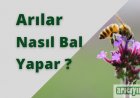 Arılar Nasıl Bal Yapar