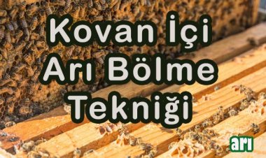 Kovan İçi  Arı  Bölme Tekniğiyle Koloni Sayısını Arttırma