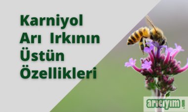 Karniyol Arı Irkı Özellikleri
