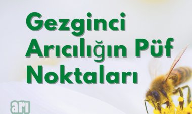 Gezgin Arıcılık Nedir, Nasıl Yapılır