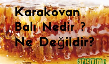 Karakovan Balı Nedir ? Ne Değildir ?