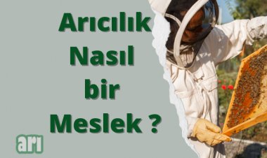 Arıcılık Nedir, Nasıl Yapılır ?