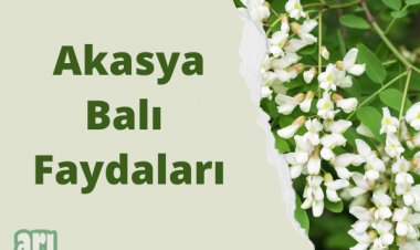 Akasya Balı ve Faydaları