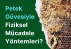 Petek Güvesiyle Fiziksel Mücadele Yöntemleri