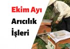 Ekim Ayı Arıcılık İşleri