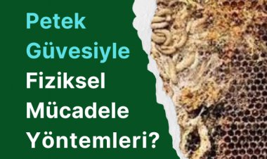 Petek Güvesiyle Fiziksel Mücadele Yöntemleri