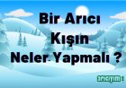 Bir Arıcı Kışın Neler Yapmalı