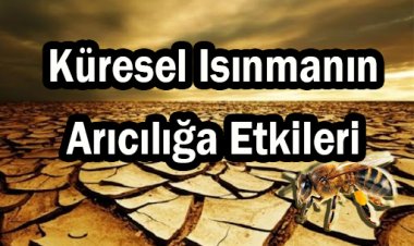 Küresel Isınmanın Arıcılık Sektörüne Etkileri ve Alınabilecek Önlemler