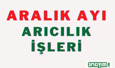 Aralık Ayı Arıcılık İşleri