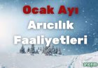  Ocak Ayı Arıcılık Faaliyetleri