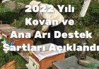2022 Arılı Kovan ve Ana Arı Desteklemesi