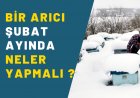 Şubat Ayı Arıcılık İşleri