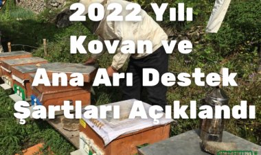 2022 Arılı Kovan ve Ana Arı Desteklemesi