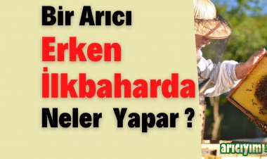 Arılarında Erken  İlkbahar  Bakımı  Nasıl Yapılır?