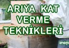 Arıya Kat Verme Nasıl Yapılır?