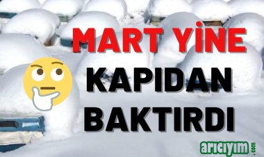 Mart Ayı Yine Kapıdan Baktırdı