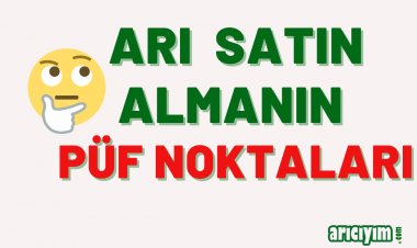 Arı Satın Alırken Nelere Dikkat Etmeliyiz?