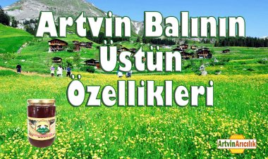 Artvin Balı Nedir, Özellikleri Nelerdir?