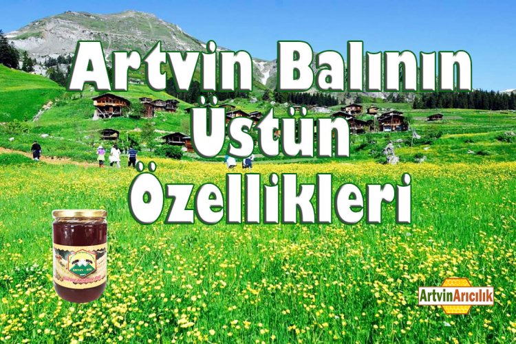 Artvin Balı Nedir, Özellikleri Nelerdir?