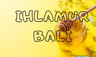 IHLAMUR BALI  NEDİR, FAYDALARI NELERDİR?