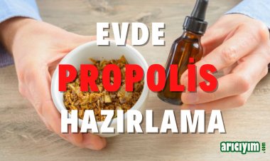 Evde Propolis Hazırlama?