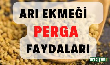Arı Ekmeği Nedir, Faydaları  Nelerdir?
