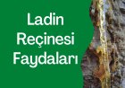 LADİN REÇİNESİ FAYDALARI