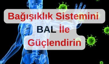 Balın  Bağışıklık Sistemine Etkisi