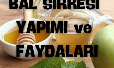 Bal Sirkesi